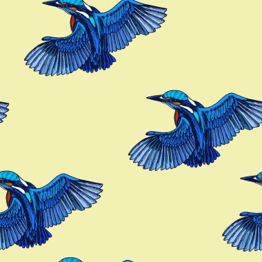 Sinekkuşu ile çizim el çizimi, vektör çizimi