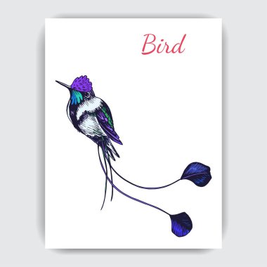 Sinekkuşu ile çizim el çizimi, vektör çizimi