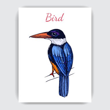 Sinekkuşu ile çizim el çizimi, vektör çizimi