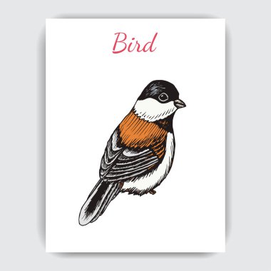 Titmouse ile çizim el çizilmiş kart, vektör çizim