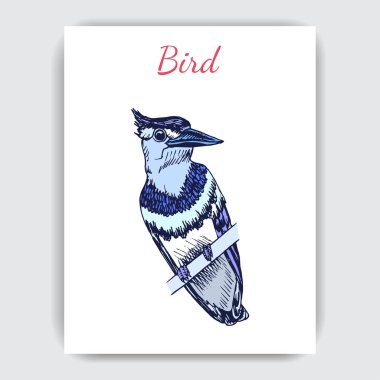 Titmouse ile çizim el çizilmiş kart, vektör çizim