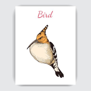 Yeşil ağaçkakan, vektör illüstrasyon ile çizim el çizilmiş desen