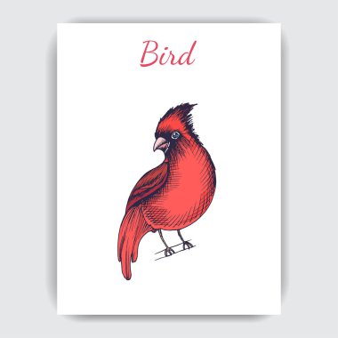 Titmouse ile çizim el çizilmiş kart, vektör çizim