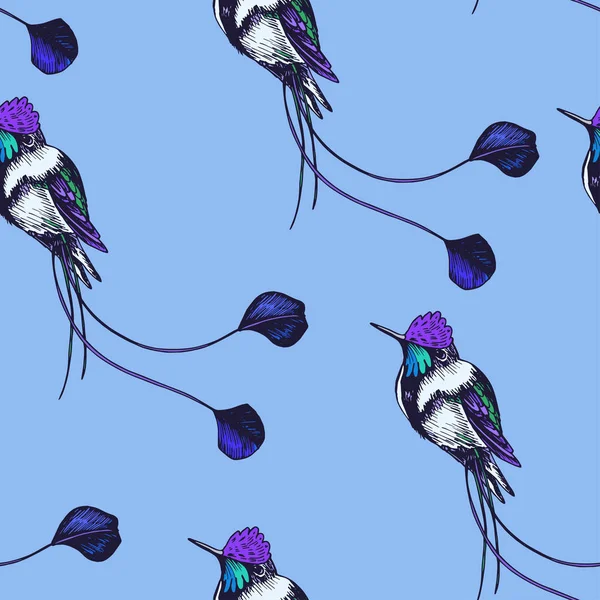 Sketch Hand Drawn Pattern Hummingbird Vector Illustration — Stock Vector