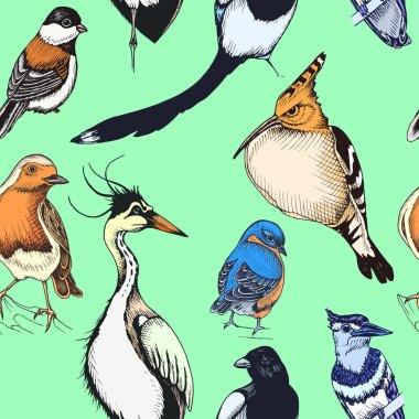 Çeşitli kuşlar, vektör illüstrasyon ile çizim el çizilmiş desen