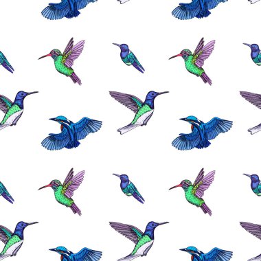 Sinekkuşları ile çizim el çizimi deseni, vektör çizimi