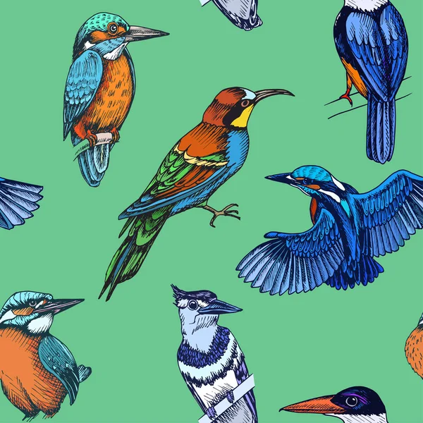 Schets Hand Getekende Patroon Met Verschillende Vogels Vector Illustratie — Stockvector