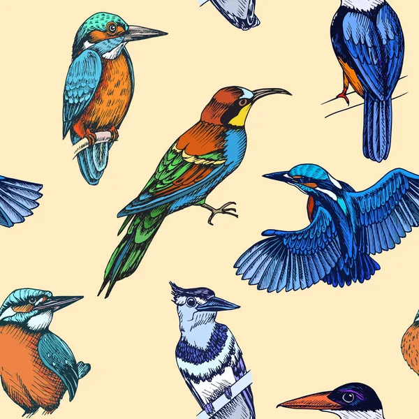Skizze Handgezeichnetes Muster Mit Verschiedenen Vögeln Vektorillustration — Stockvektor