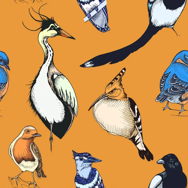 Σκίτσο Ζωγραφισμένα Στο Χέρι Μοτίβο Διάφορα Πτηνά Απεικόνιση Διάνυσμα — Διανυσματικό Αρχείο
