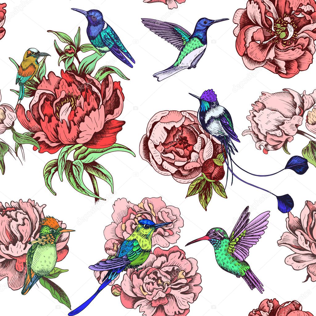 Sketch hand drawn pattern with hummingbirds, vector illustration