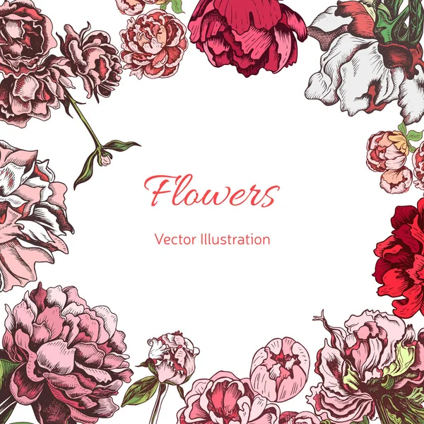 Banner Dibujado Mano Con Flores Ilustración Vectorial — Vector de stock