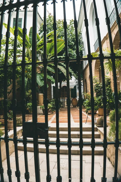 Cityscape Palma de Mallorca, İspanyol Belediyesi ve Balear Adaları Mayorka Adası ana kasabası