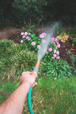 Erkek el ile yağmurlama sulama tesisleri bir bahçe hortumu ile