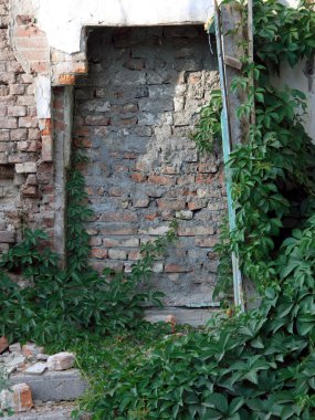 Su yüzeyine yakın yüzen bir balık fotoğrafı