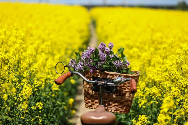 Bicicleta Vintage Com Buquê Flores Lilás Cesta Vime Verão Florescendo — Fotografia de Stock