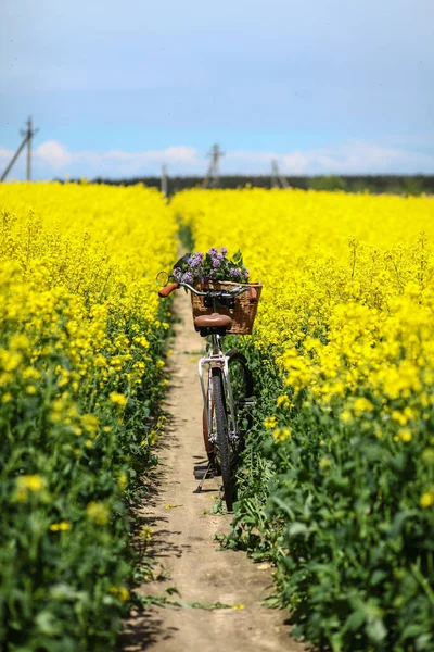 Vintage Fiets Met Een Boeket Lila Bloemen Rieten Mand Zomer — Stockfoto