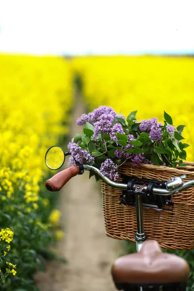 빈티지 자전거 바구니에 라일락 꽃다발이 바구니에 들판에서 오르는 — 스톡 사진