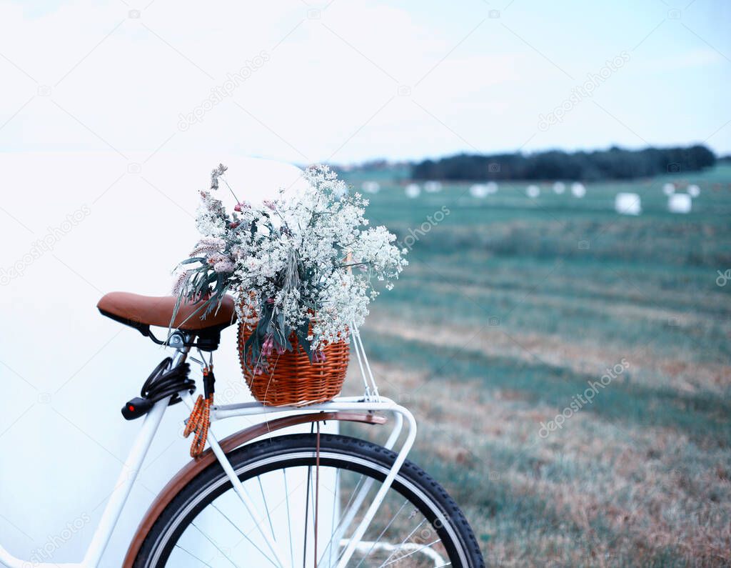 vintage bike with wicker basket with summer wildflowers against rural view,mown field