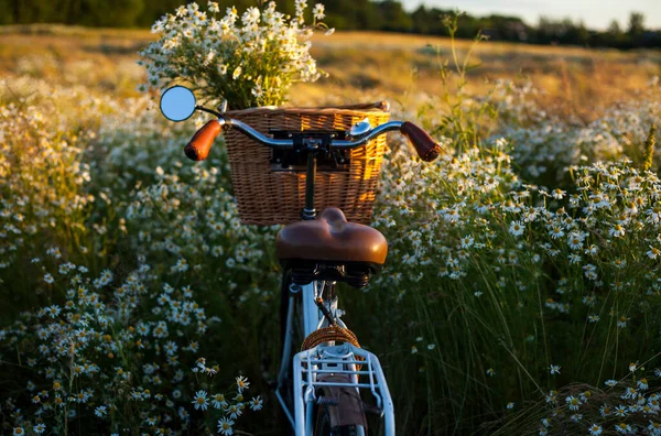 Fahrrad Mit Korb Mit Blumen Vor Gänseblümchen Hintergrund — Stockfoto
