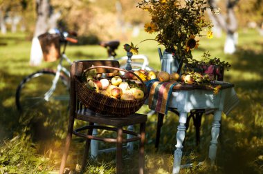 Sonbahar Şükran Günü arka planı. Sonbahar bahçesinde piknik. Klasik masa, sandalyeler, bisiklet. 