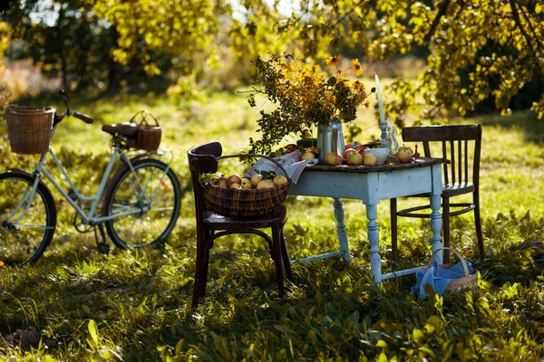 autumn thanksgiving background.picnic in the autumn  garden.vintage table,chairs,bike