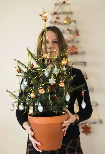 Elinde süslü Noel ağacı tutan bir kadın. Yeni yıl ve Noel arkaplanı.