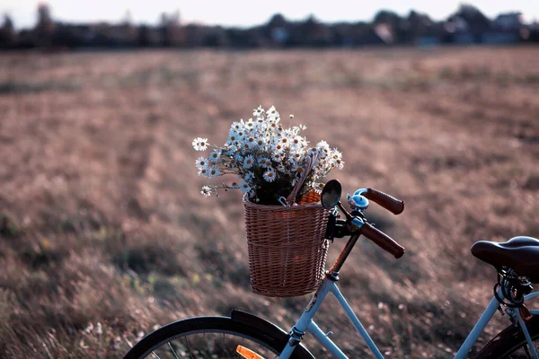 Bicicleta Com Cesta Com Flores Contra Fundo Campo — Fotografia de Stock