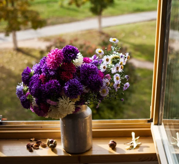 Schöner Strauß Astern Auf Der Fensterbank Vor Herbstlich Farbenfroher Aussicht — Stockfoto