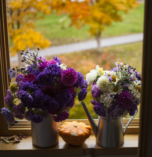 Schöner Strauß Astern Auf Der Fensterbank Vor Herbstlich Farbenfroher Aussicht — Stockfoto