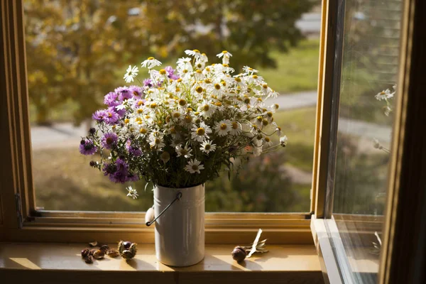 Schöner Strauß Gänseblümchen Auf Der Fensterbank Gegen Den Herbstlichen Bunten — Stockfoto
