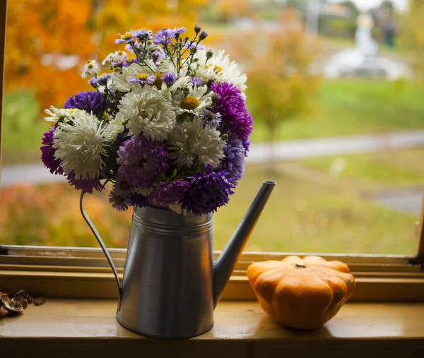 Schöner Strauß Astern Auf Der Fensterbank Vor Herbstlich Farbenfroher Aussicht — Stockfoto