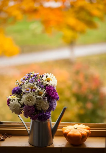 Schöner Strauß Astern Auf Der Fensterbank Vor Herbstlich Farbenfroher Aussicht — Stockfoto