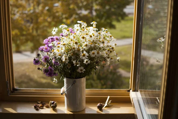 Schöner Strauß Gänseblümchen Auf Der Fensterbank Gegen Den Herbstlichen Bunten Stockbild