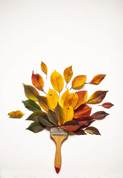 Pinsel Den Farben Des Herbstes Pinsel Aus Laub Der Herbstfarben Stockfoto