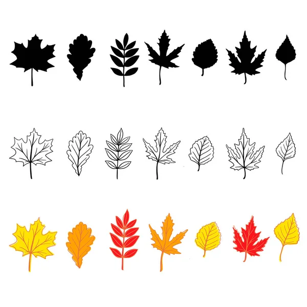 Set Hand Drawn Fall Leaves Maple Oak Birch Etc Isolated — Stock Vector