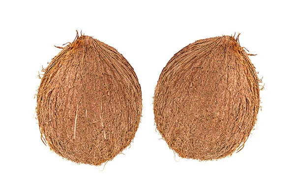 白い背景に隔離された茶色のココナッツ — ストック写真