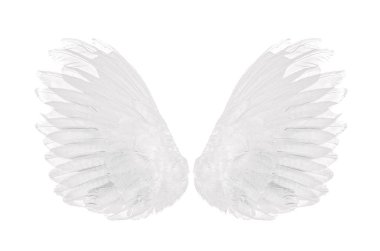 Beyaz arka plan üzerinde izole beyaz kanat