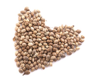 Kenevir tohumları beyaz arkaplanda izole edilmiş makro görüntüyü kapat