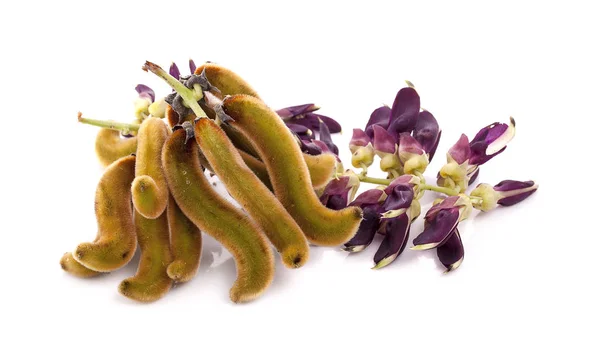 Beyaz arkaplanda çok sayıda pruriens izole edildi