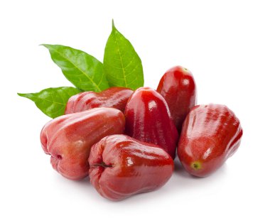 Beyaz arkaplanda gül elmaları izole.