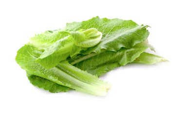 Roka, frisee, radicchio ve kuzu marul ile karışık salata. beyaz zemin üzerine izole.