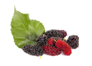 Beyaz arkaplanda yaprakları olan dut dutu