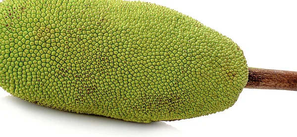 Jackfruit Geïsoleerd Witte Achtergrond — Stockfoto