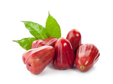 Beyaz arkaplanda yalıtılmış gül elmaları veya chomphu