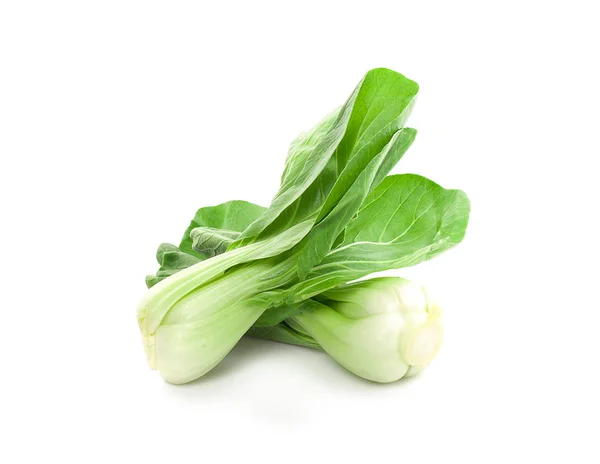 Bok Choy Groente Geïsoleerd Witte Achtergrond — Stockfoto