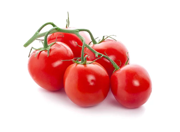 Tomaten Isoliert Auf Weißem Hintergrund — Stockfoto