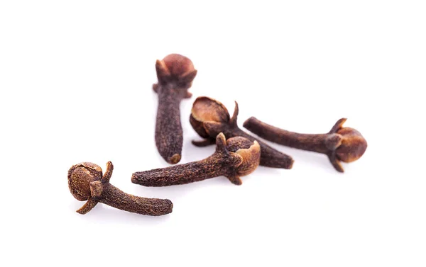 beyaz arkaplanda kuru karanfiller