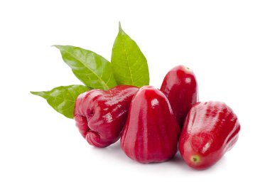 Beyaz arkaplanda yalıtılmış gül elmaları veya chomphu