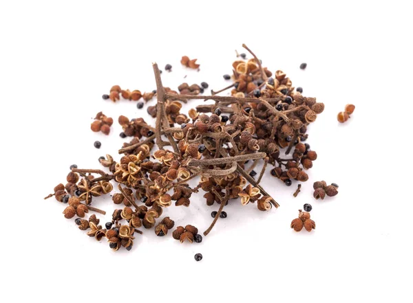 Beyaz arka planda Zanthozylum limonella Alston