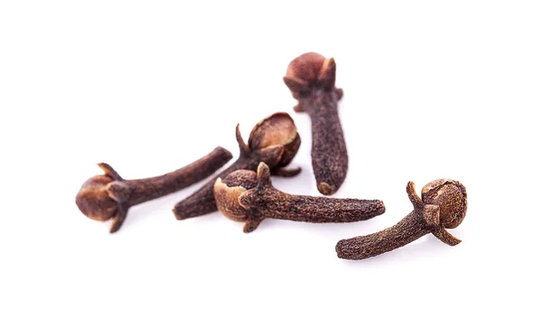 Dry Cloves White Background — Stock Photo, Image